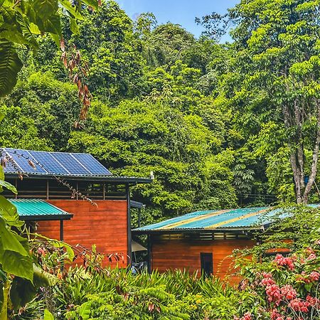 Selva Madre Eco-Sanctuary Cahuita Exterior foto