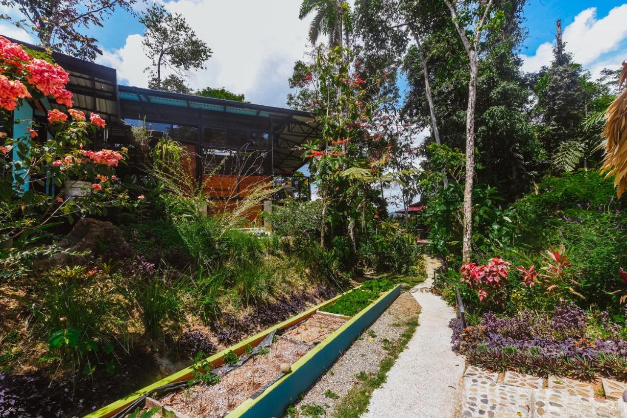 Selva Madre Eco-Sanctuary Cahuita Exterior foto