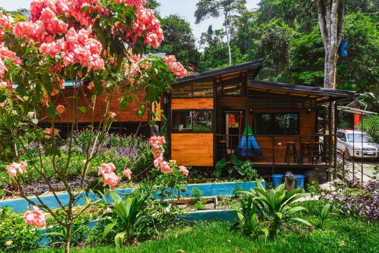 Selva Madre Eco-Sanctuary Cahuita Exterior foto