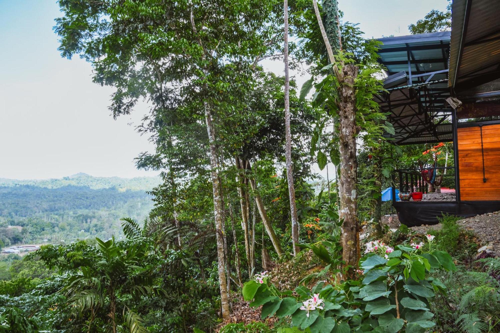 Selva Madre Eco-Sanctuary Cahuita Exterior foto