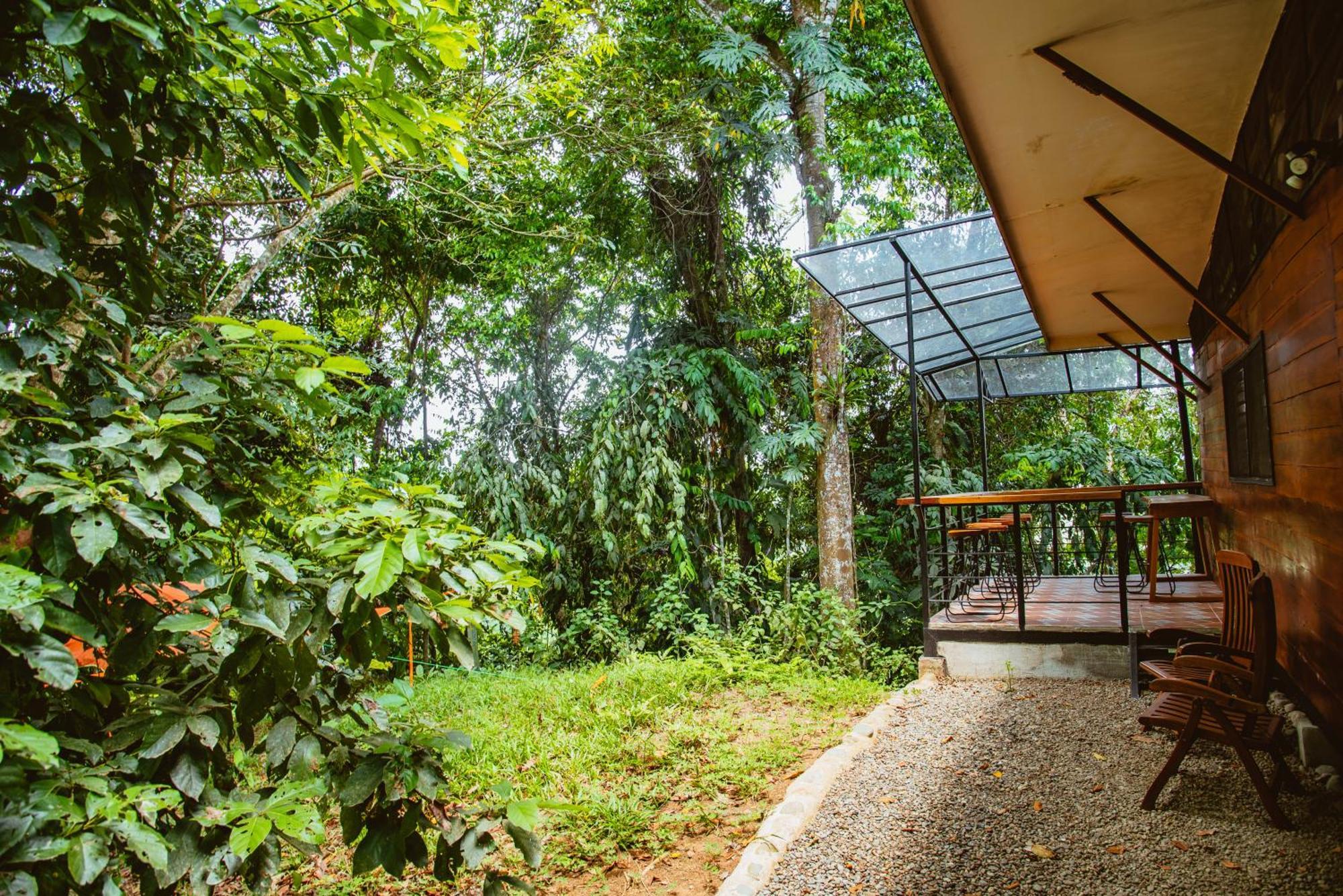 Selva Madre Eco-Sanctuary Cahuita Exterior foto