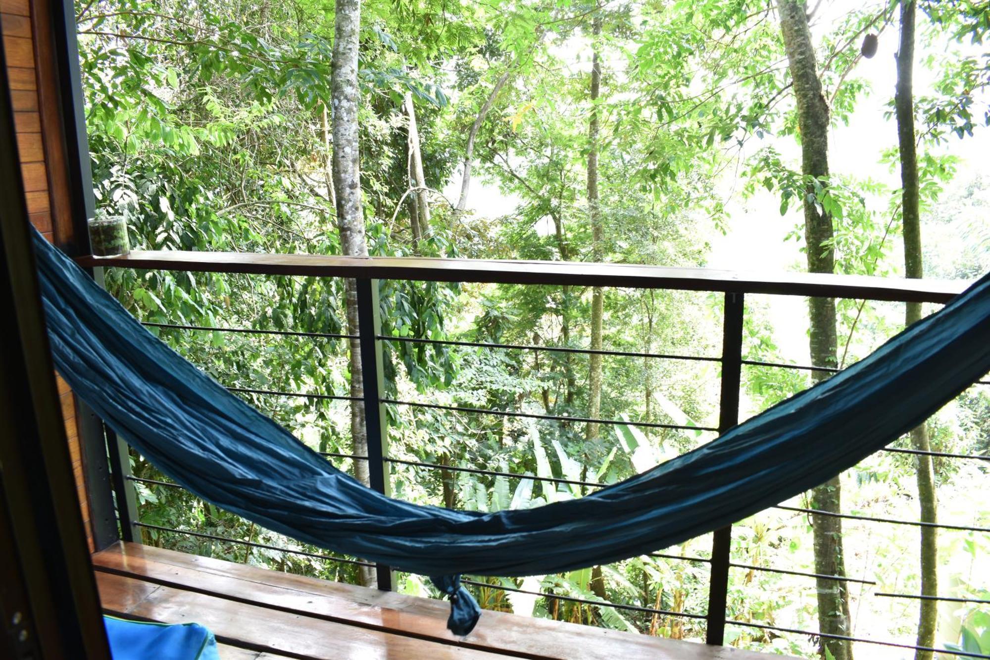 Selva Madre Eco-Sanctuary Cahuita Exterior foto