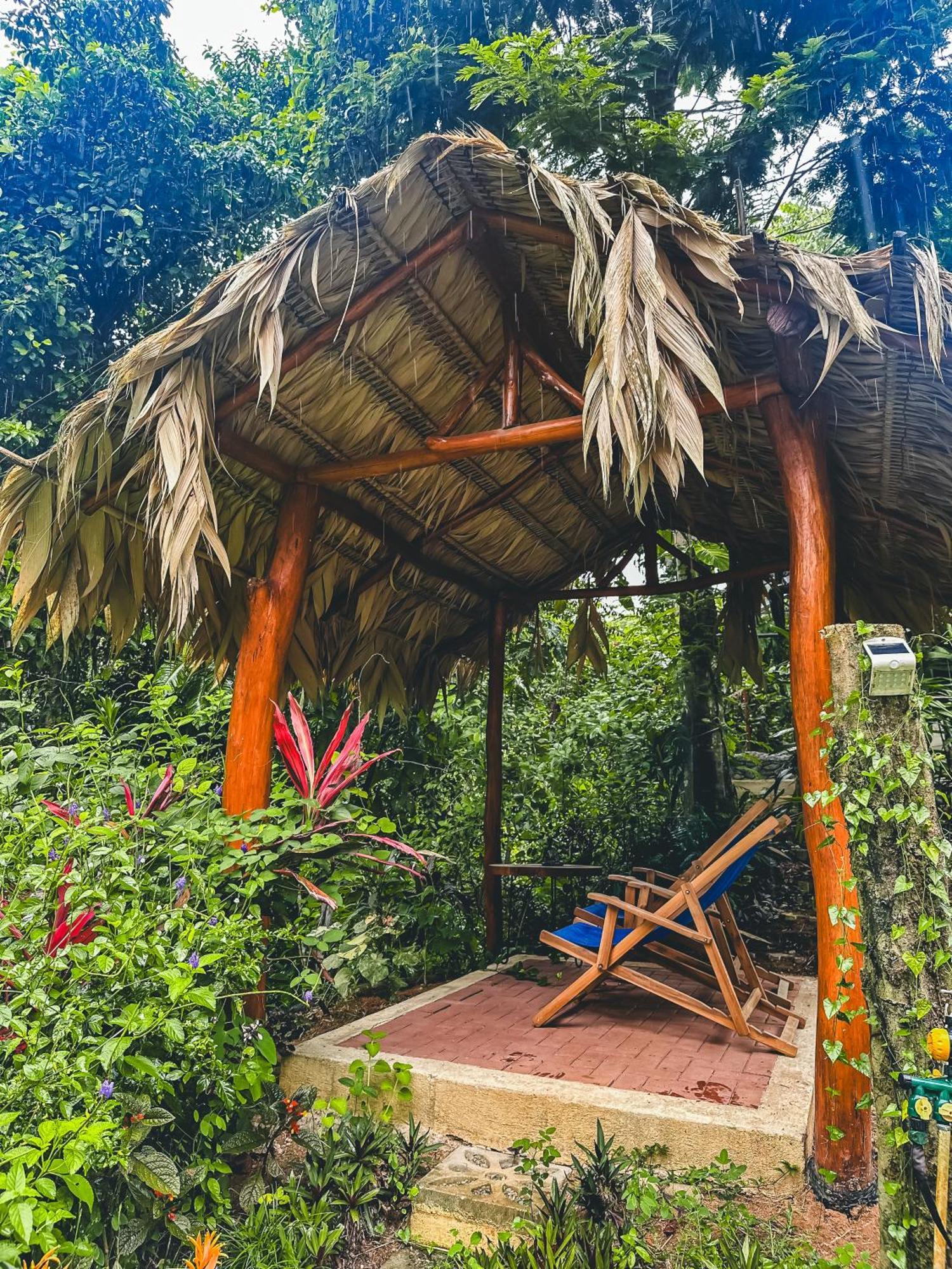 Selva Madre Eco-Sanctuary Cahuita Exterior foto