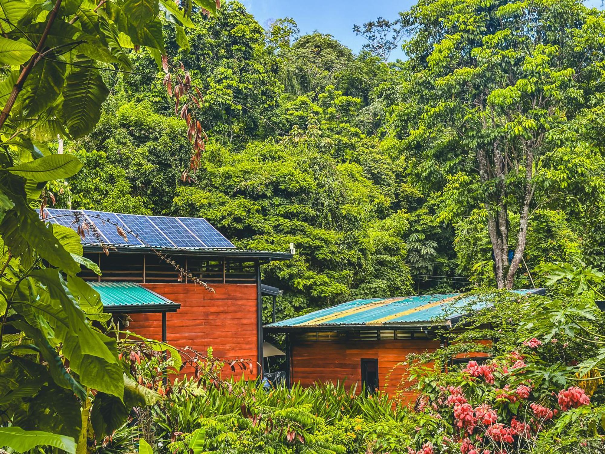 Selva Madre Eco-Sanctuary Cahuita Exterior foto