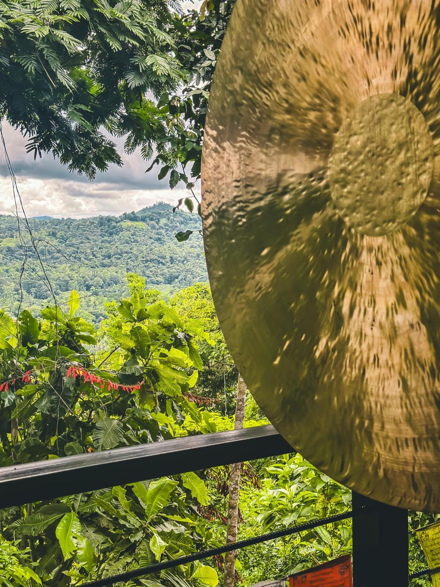 Selva Madre Eco-Sanctuary Cahuita Exterior foto